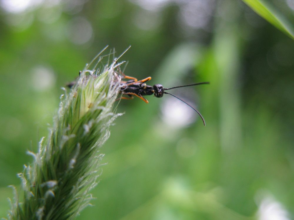 Photograph by Юлия Чиботарь