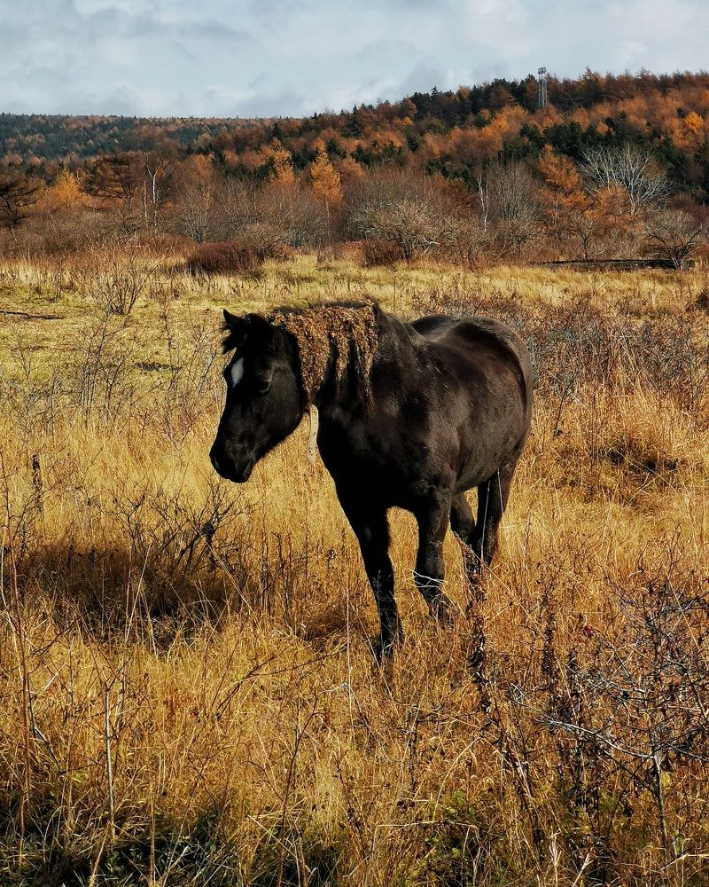 Photograph by Ирина Ветюгова