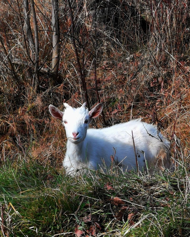 Photograph by Ирина Ветюгова