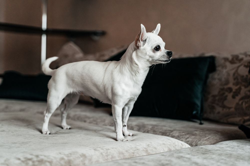 Photograph by Katsiaryna Yarmantovich