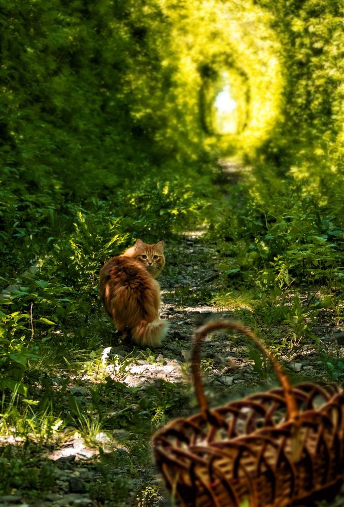 Photograph by Валерий Шорохов