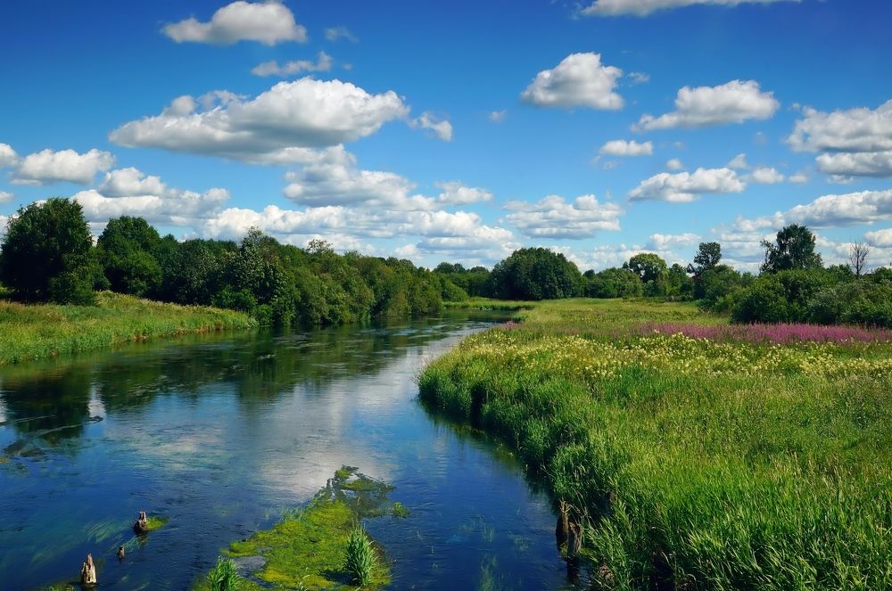 Фотография автора  Галина