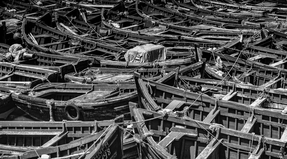 Photograph by Klaus Tesching