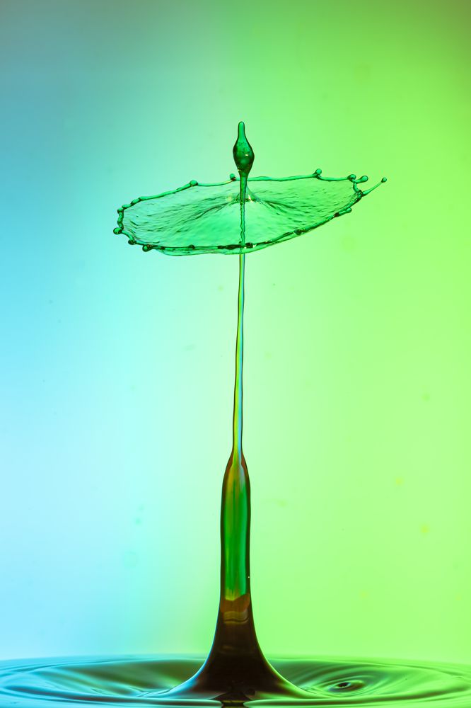 Фотография автора Bartosz