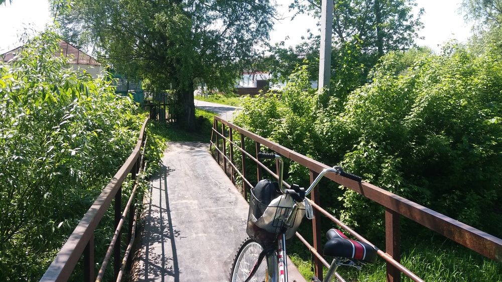Photo #6183561