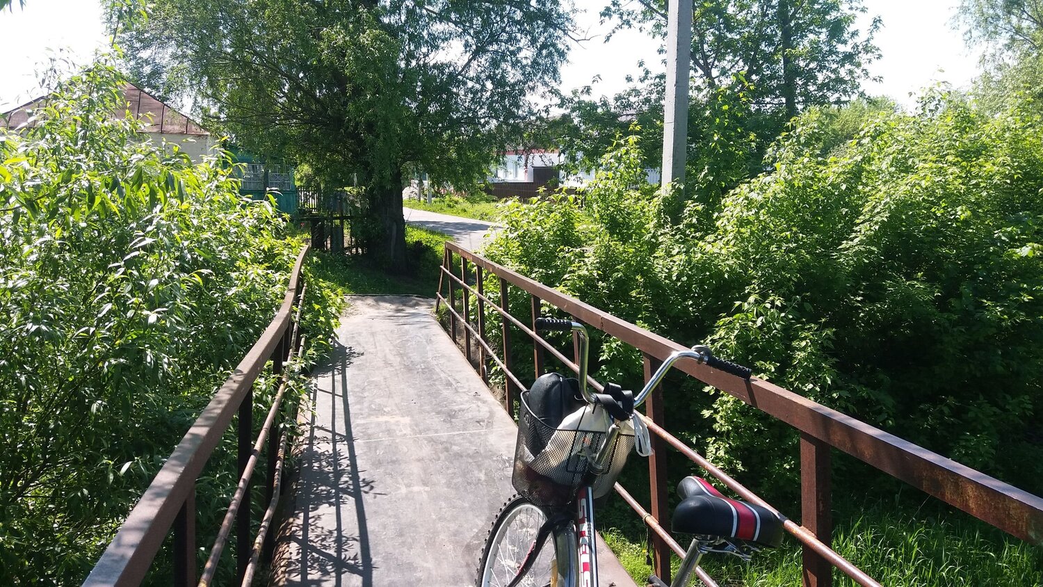 Photo #6183561