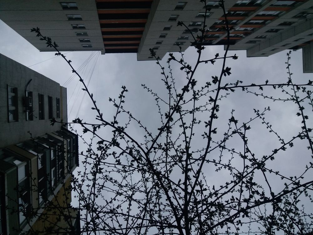 Photo #6183569