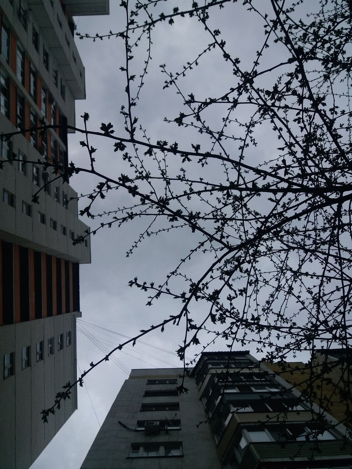 Photo #6183569