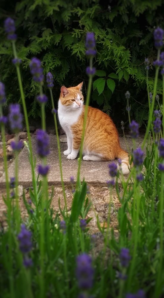 Photograph by Inna Kabanovich