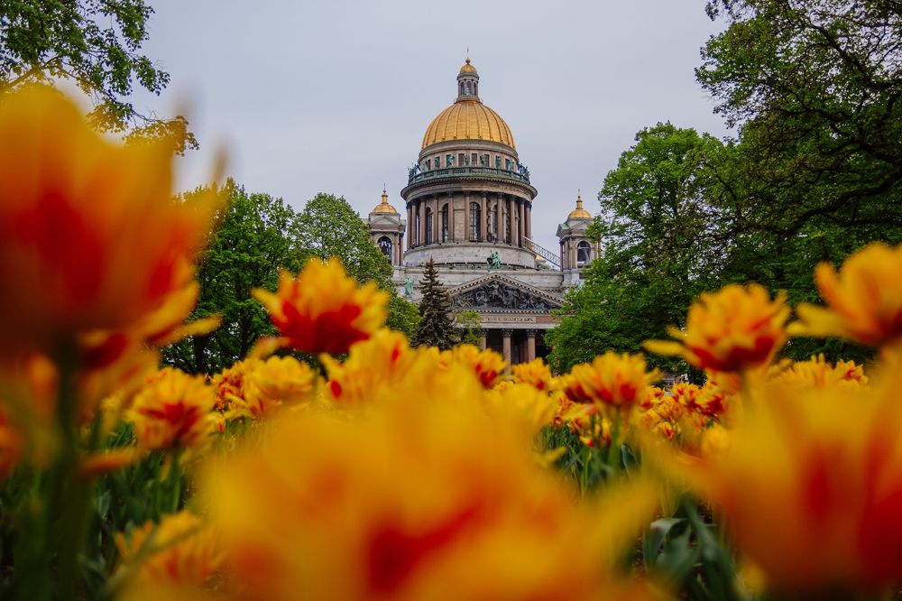 Photograph by Лена Маричева