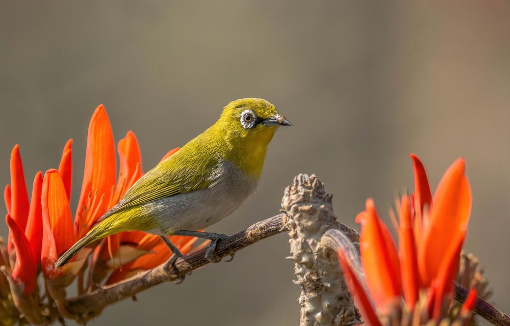 Photograph by Mahmud Hasan