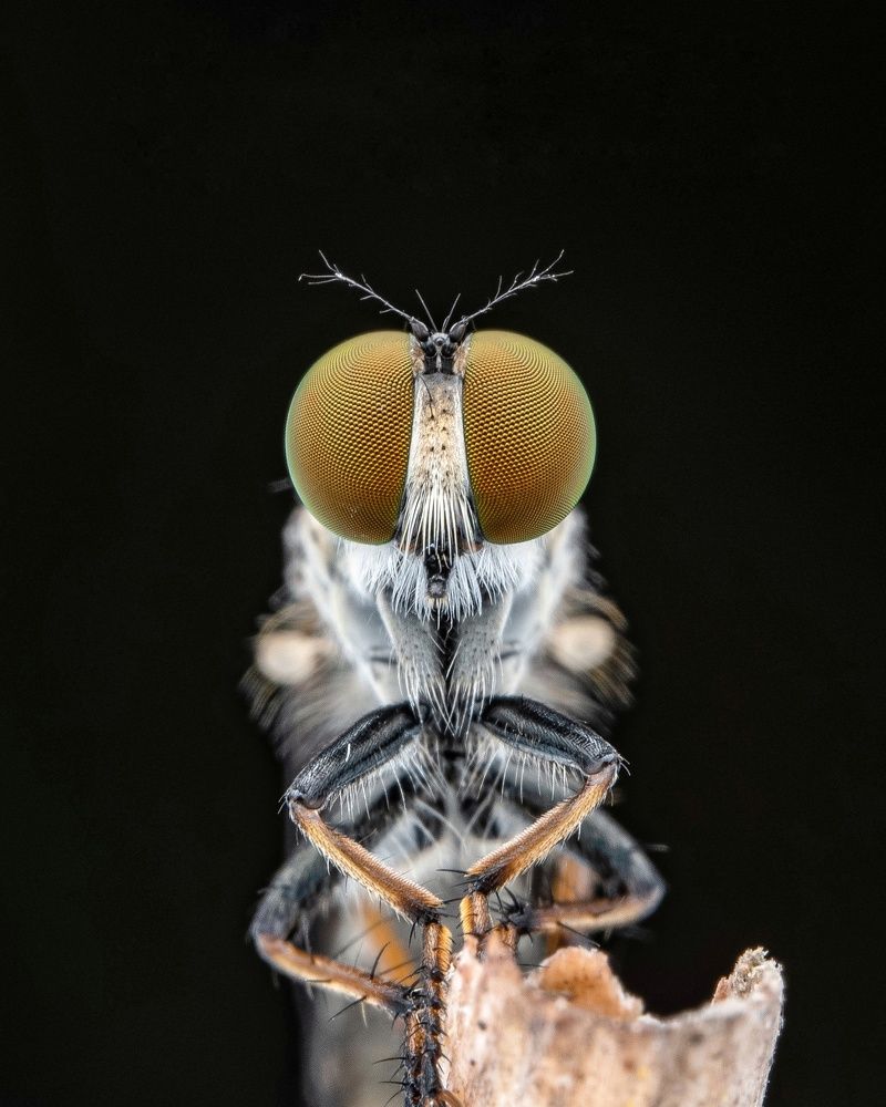 Photograph by tan sintiong