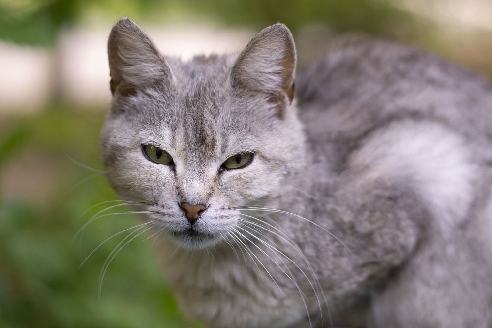 Photograph by Марина Магадиева