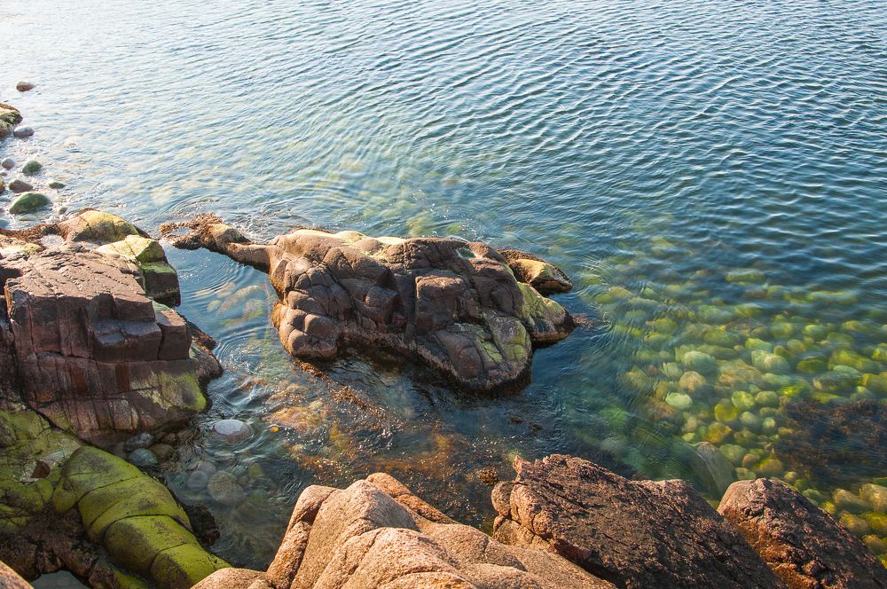 Скалистый берег