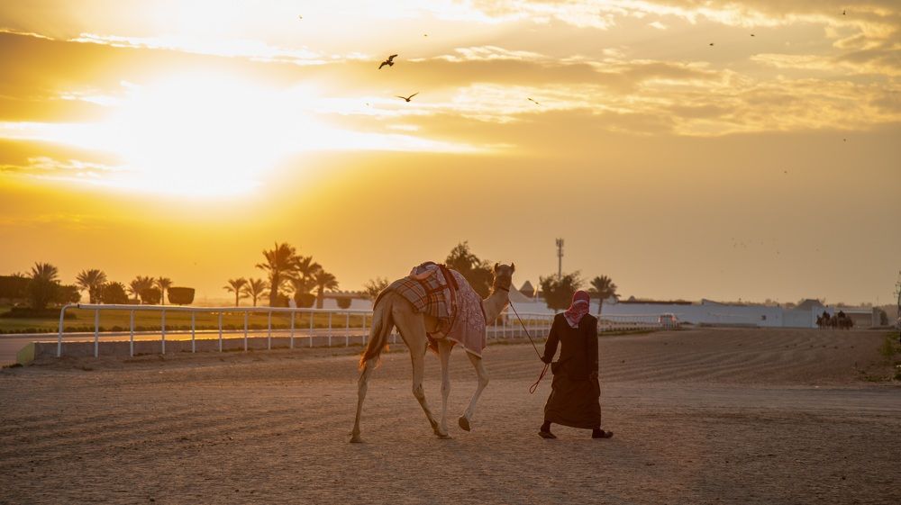 Photograph by mahaboobkhan