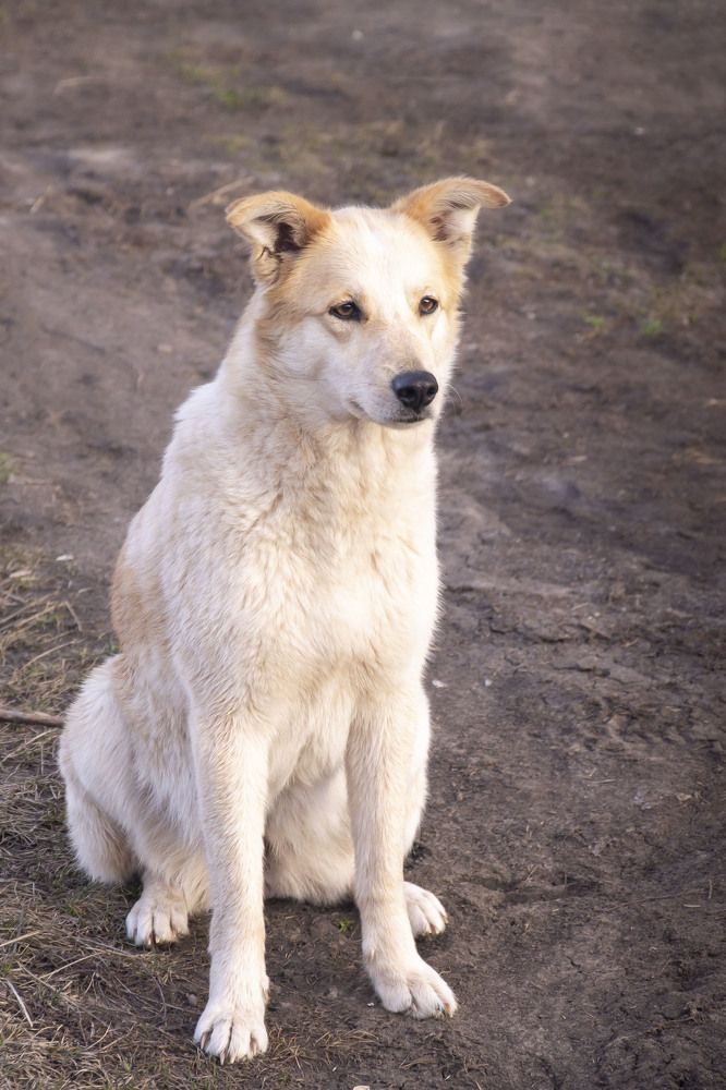 Photograph by Марина Магадиева