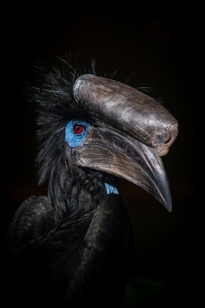 A Prehistoric Profile