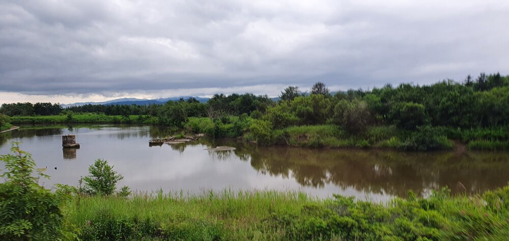 Photograph by Наталья Налобина