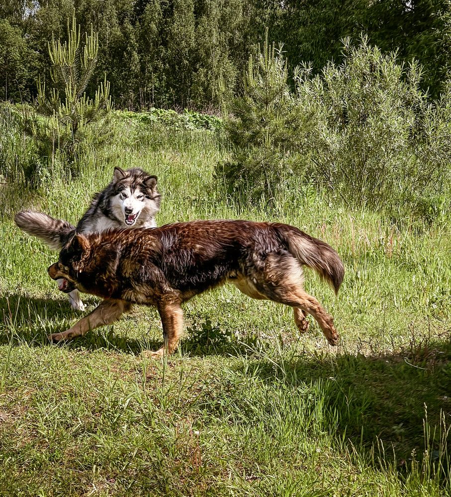 Фотография автора Алиса Чурчудесная