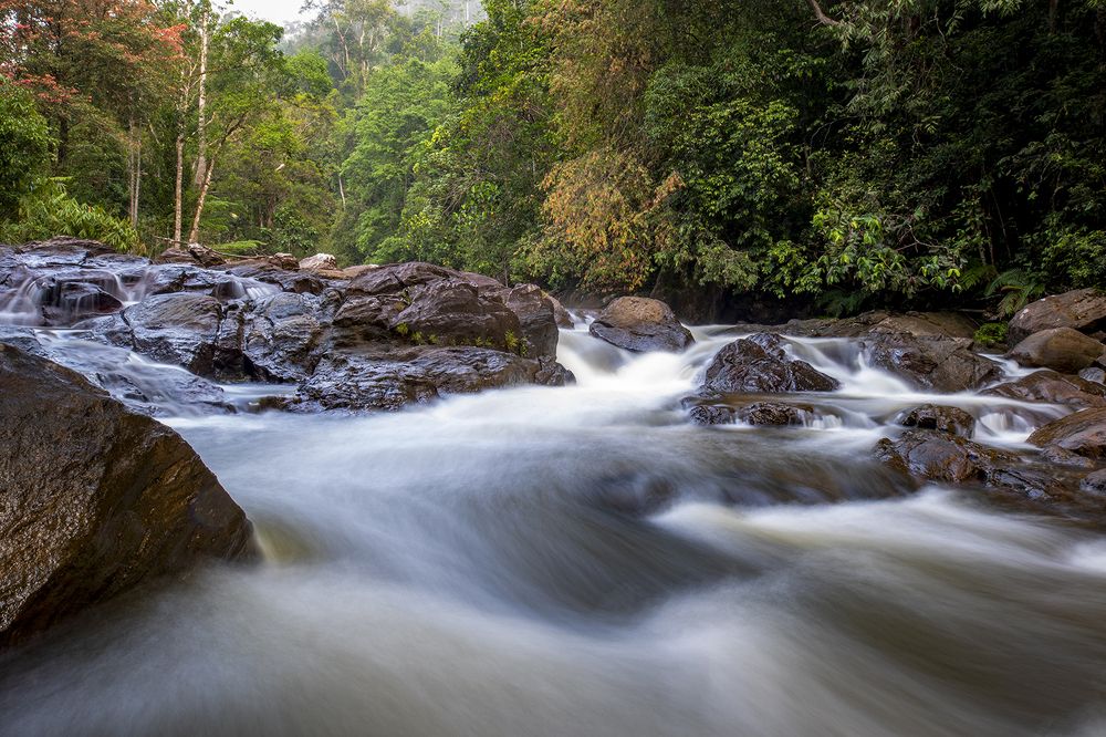 Photograph by Senadheera Danushka