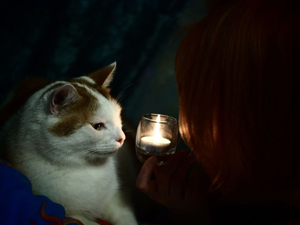 Photograph by Сергей Рычагов