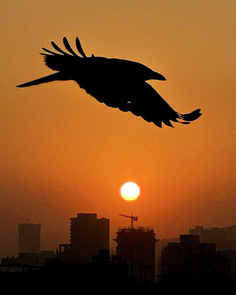 Фотография автора Om Pawar