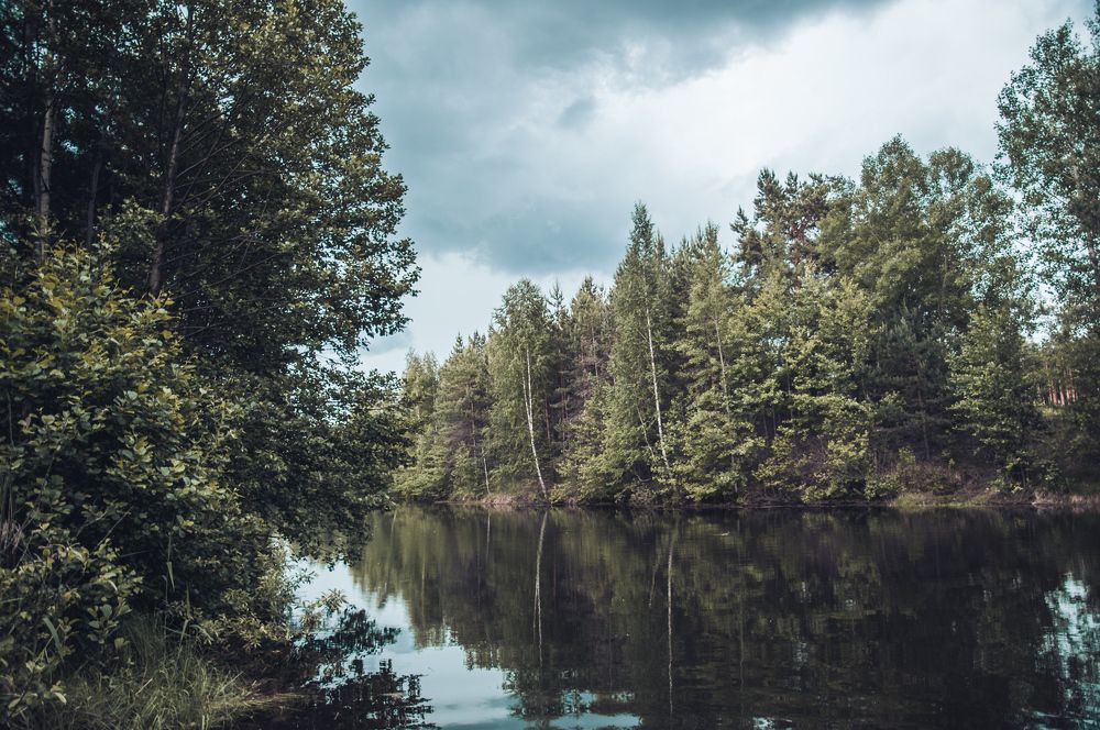 Photograph by Динара Зуйкова