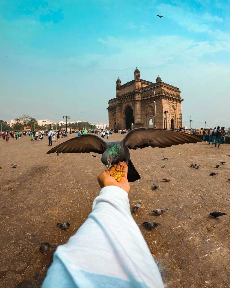 Фотография автора Om Pawar