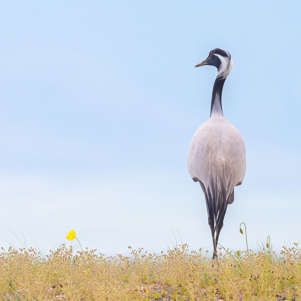 Photograph by Власов Егор