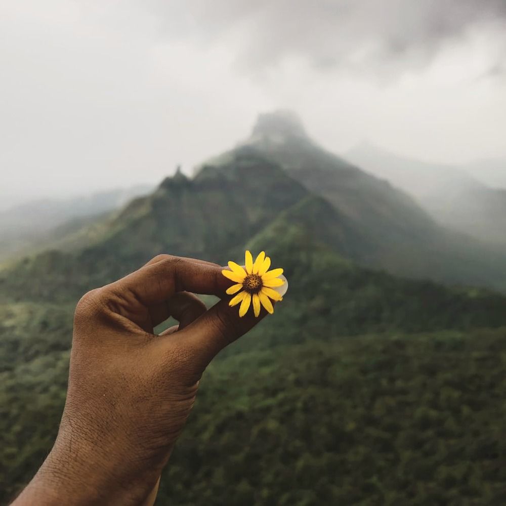 Фотография автора Om Pawar