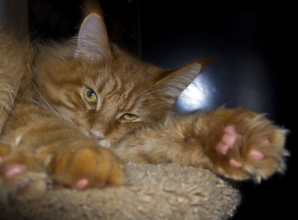 Photograph by Николаева Светлана