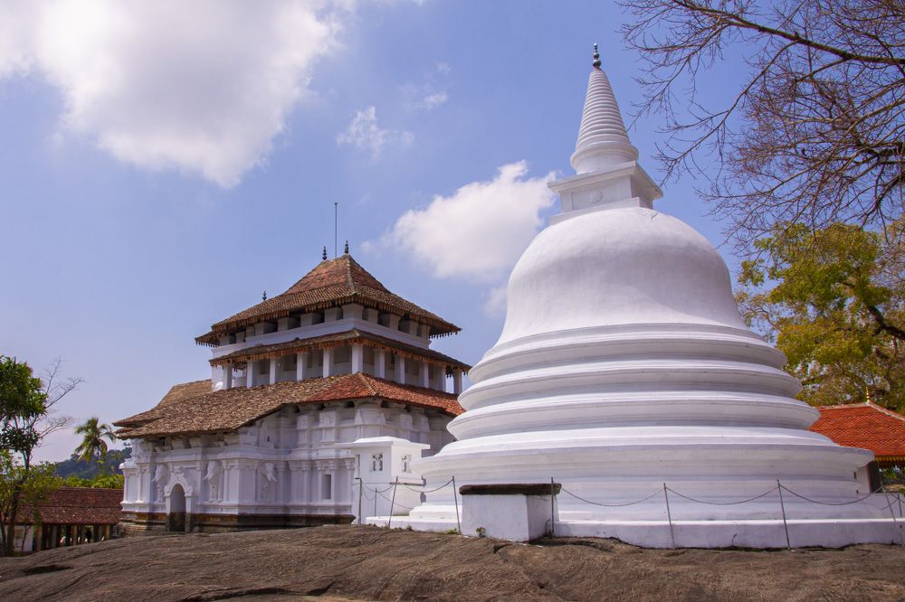 Photograph by Senadheera Danushka