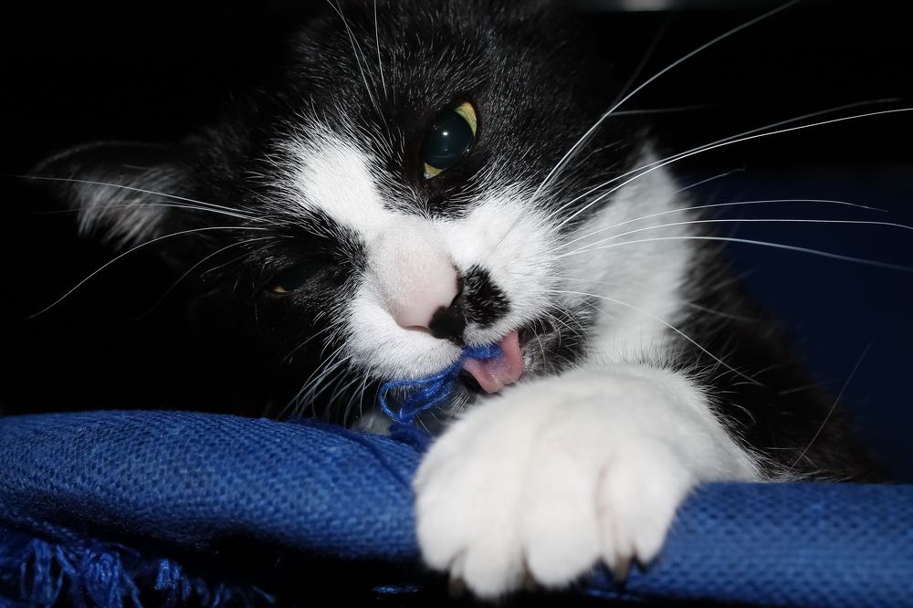 Фотография автора Наталья Соболь