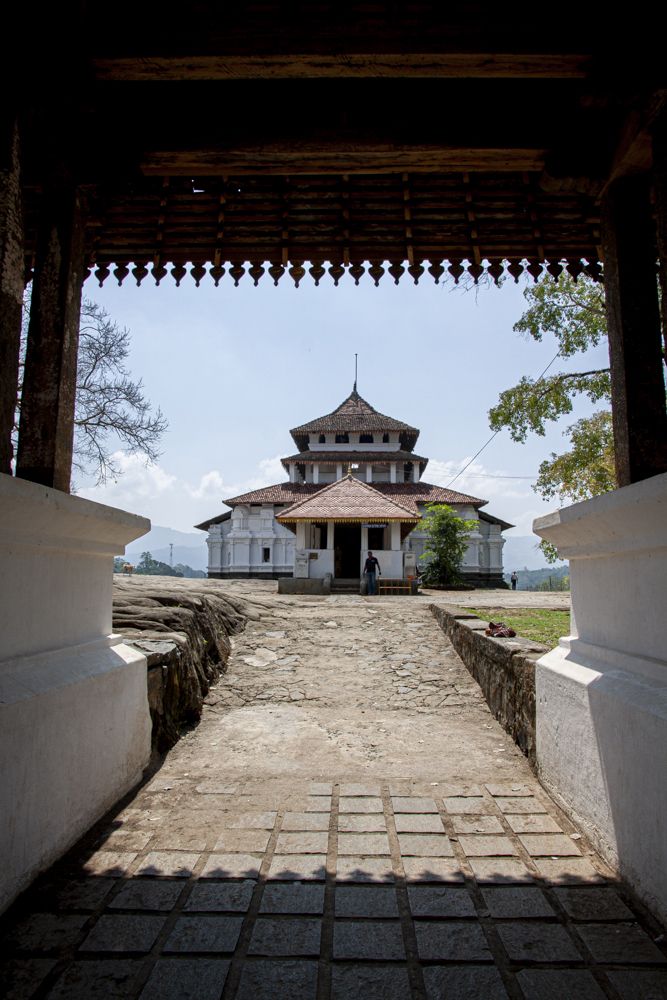 Photograph by Senadheera Danushka