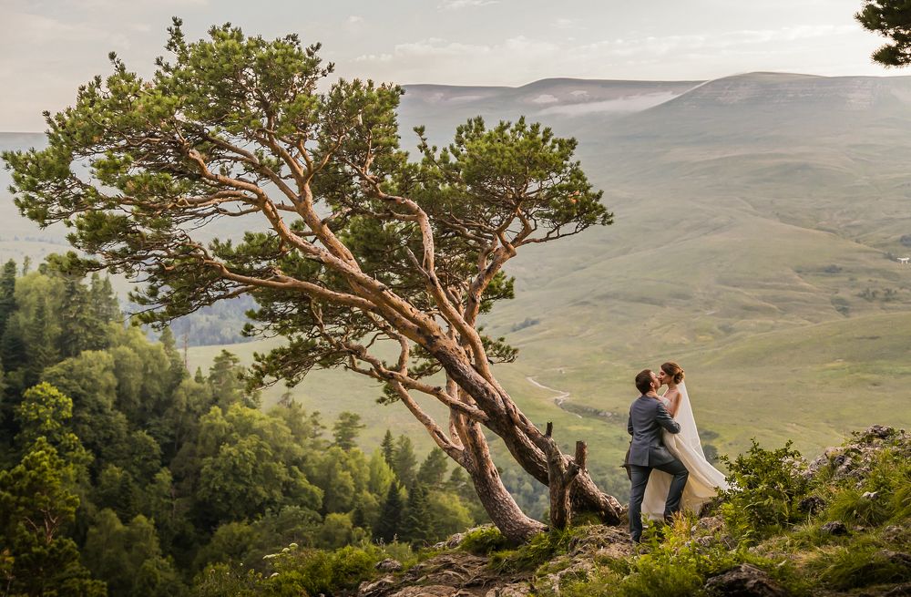 Photograph by Владимир Кривенко