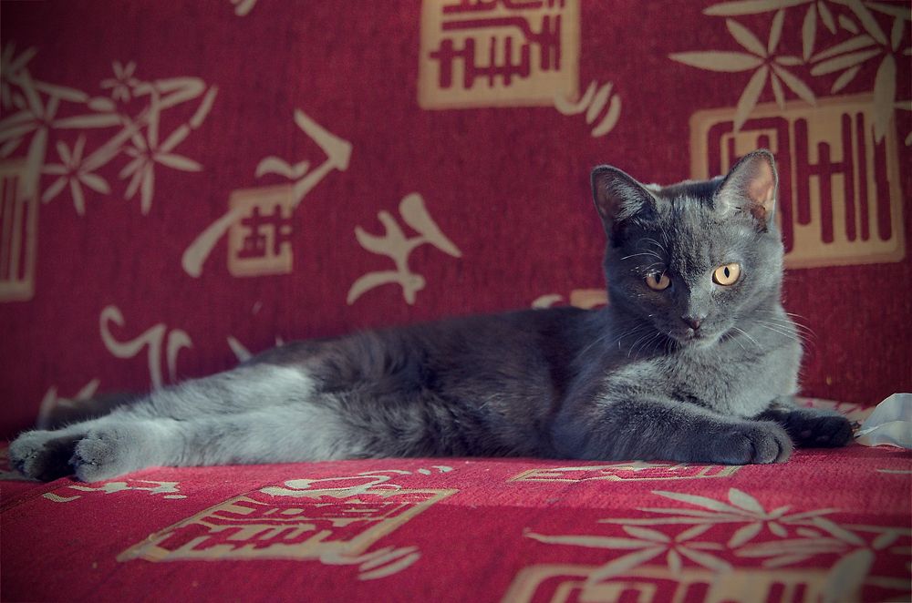 Photograph by Константин Гудков