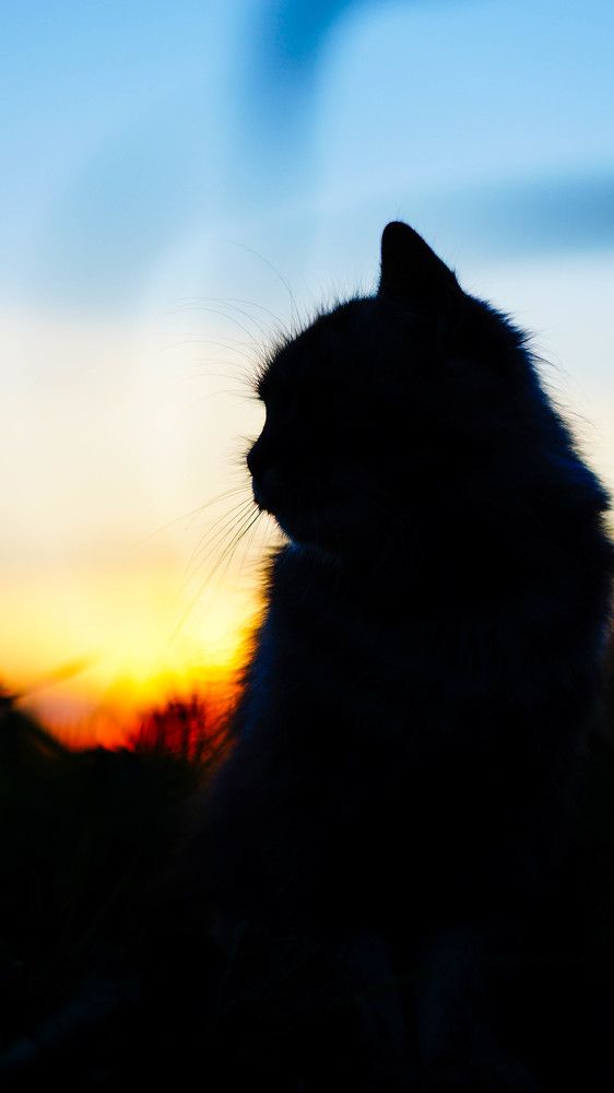 Фотография автора Дмитрий Земсков