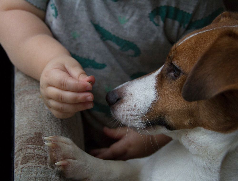 Photograph by Ксения Березкина