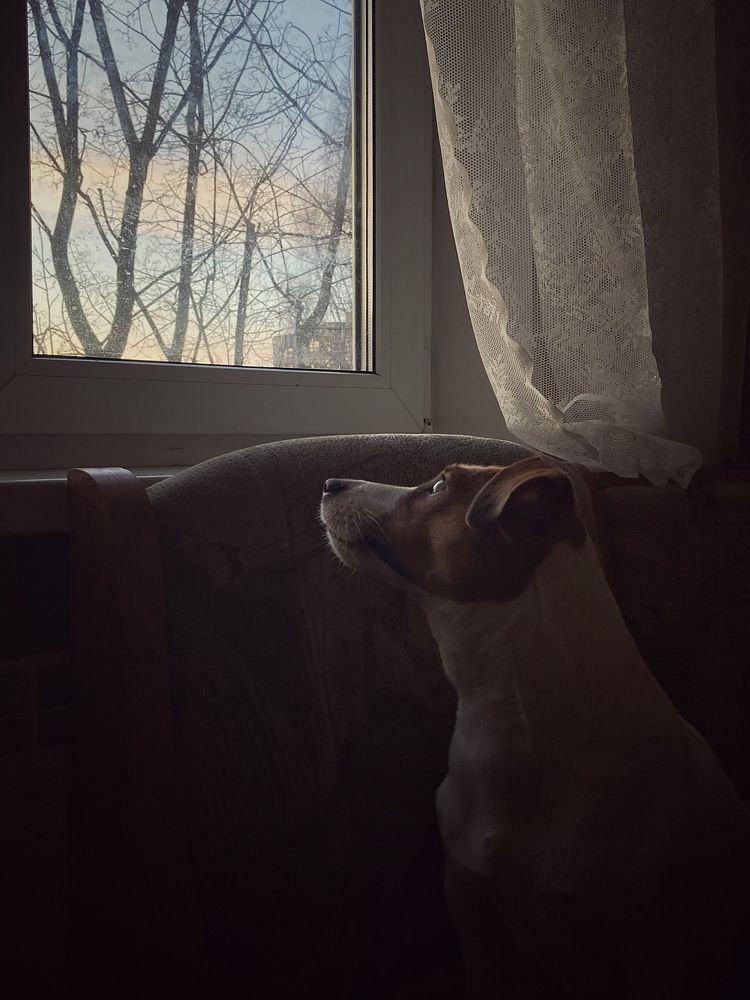 Photograph by Ксения Березкина