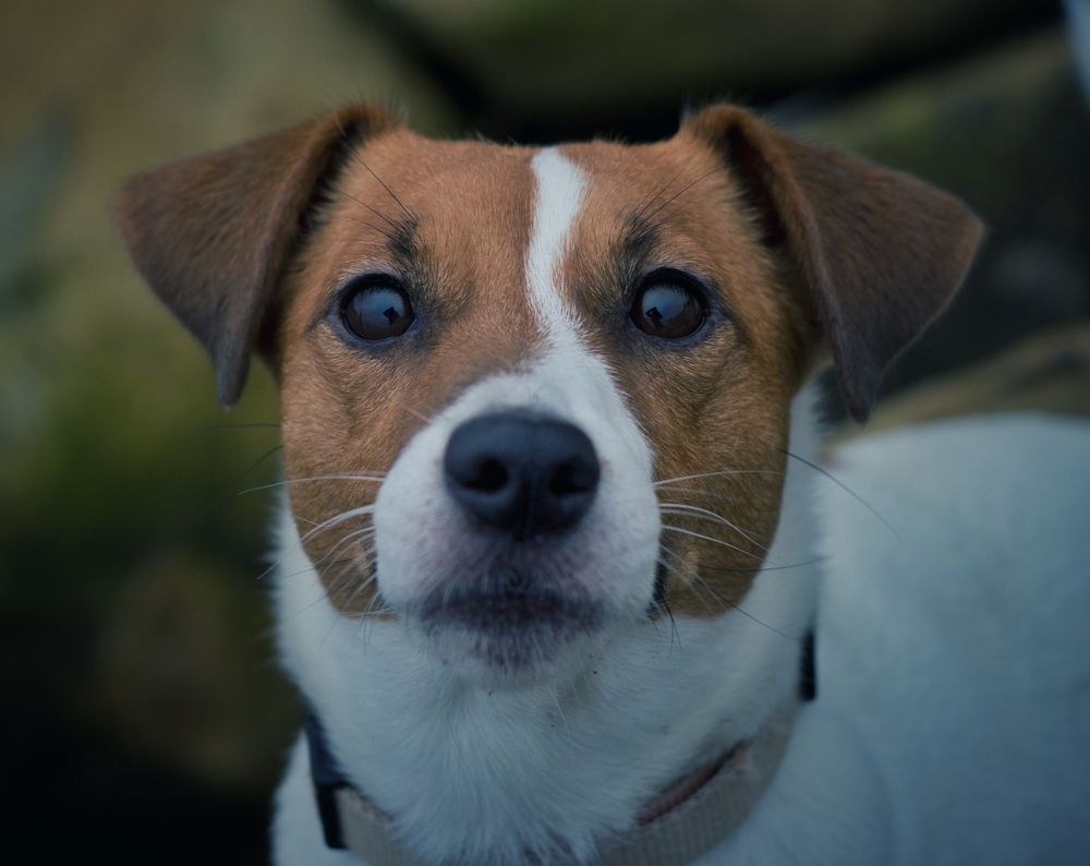 Photograph by Ксения Березкина