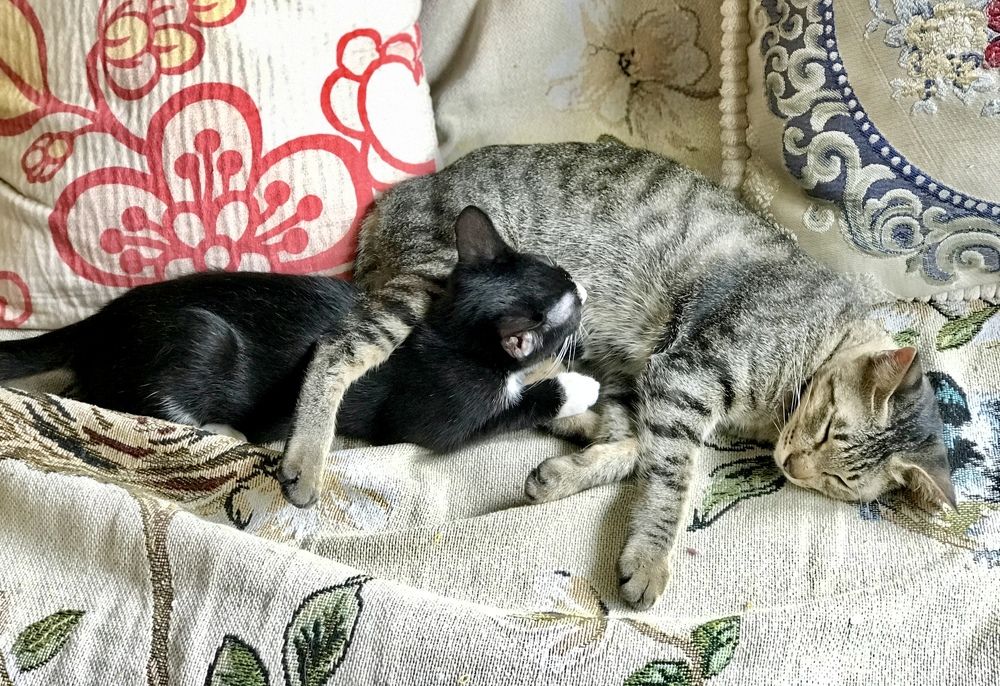 Фотография автора Tuan Nguyen