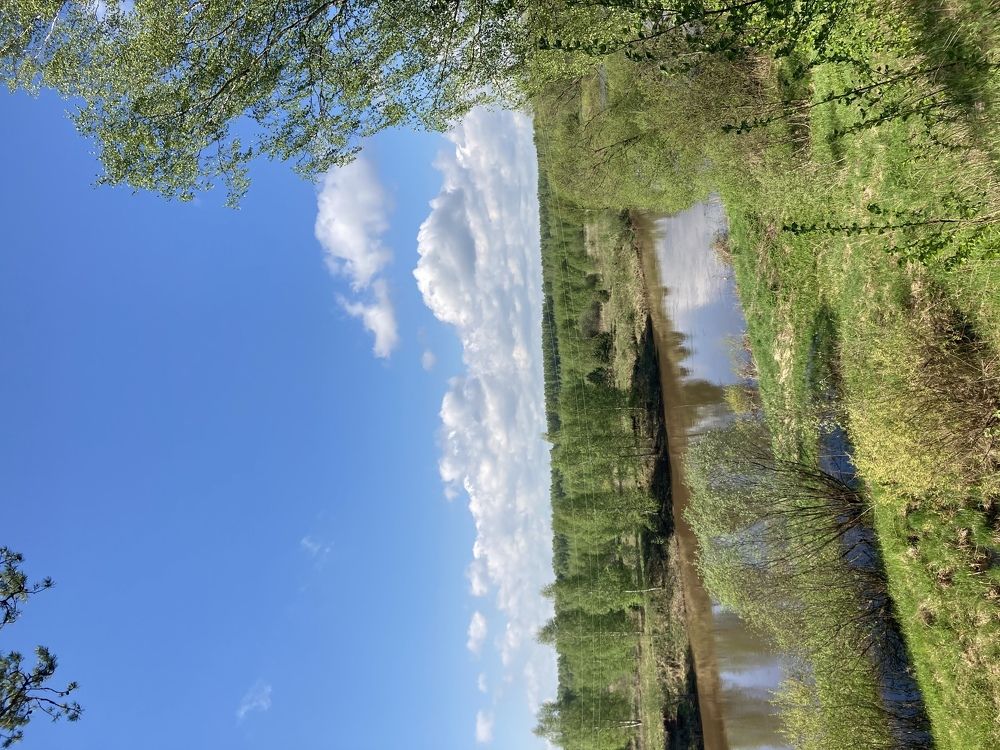 Photograph by Ксения Березкина