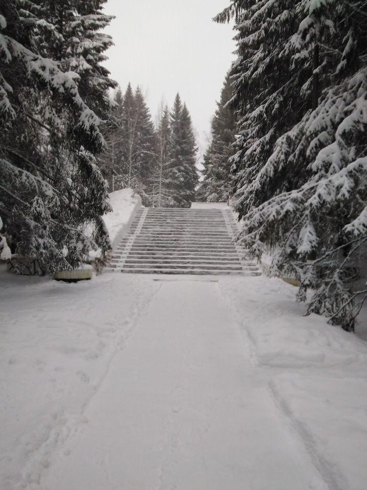 Photograph by Надежда Богачкина