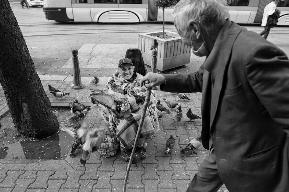 The Lady of the Pigeons