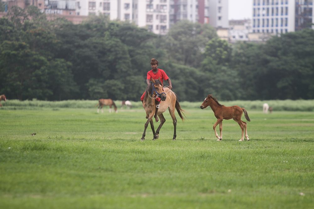 Photograph by ARIJIT SAHA