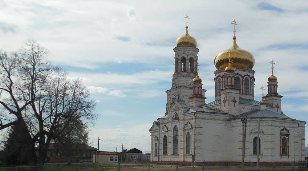 Ульяновская область. Мелекесский район. Село Лебяжье. Храм Рождества Христова.