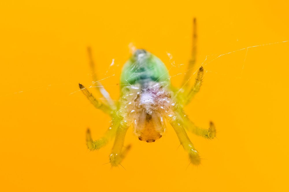 Photograph by Владимир Корчемкин