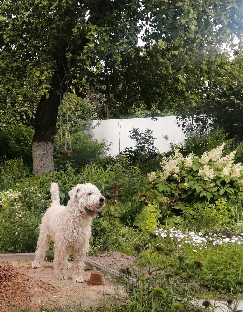 Photograph by Елена Лепешкина