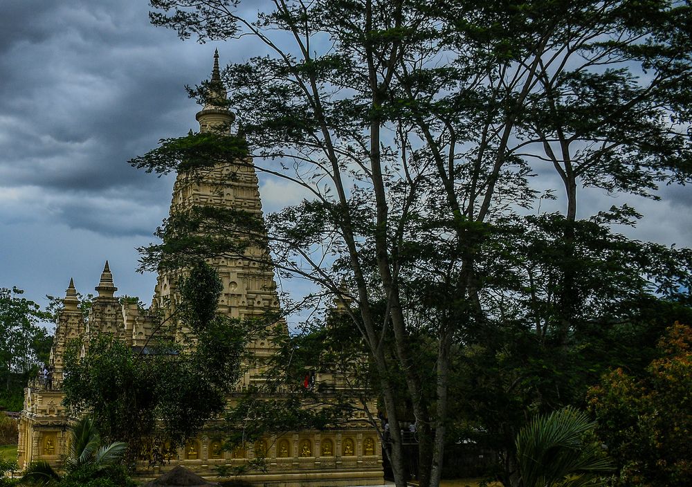 Photograph by chandima roshan