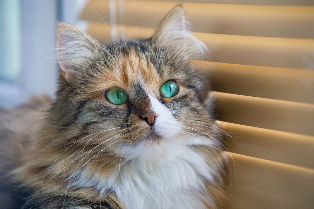 Photograph by Оксана Казакова